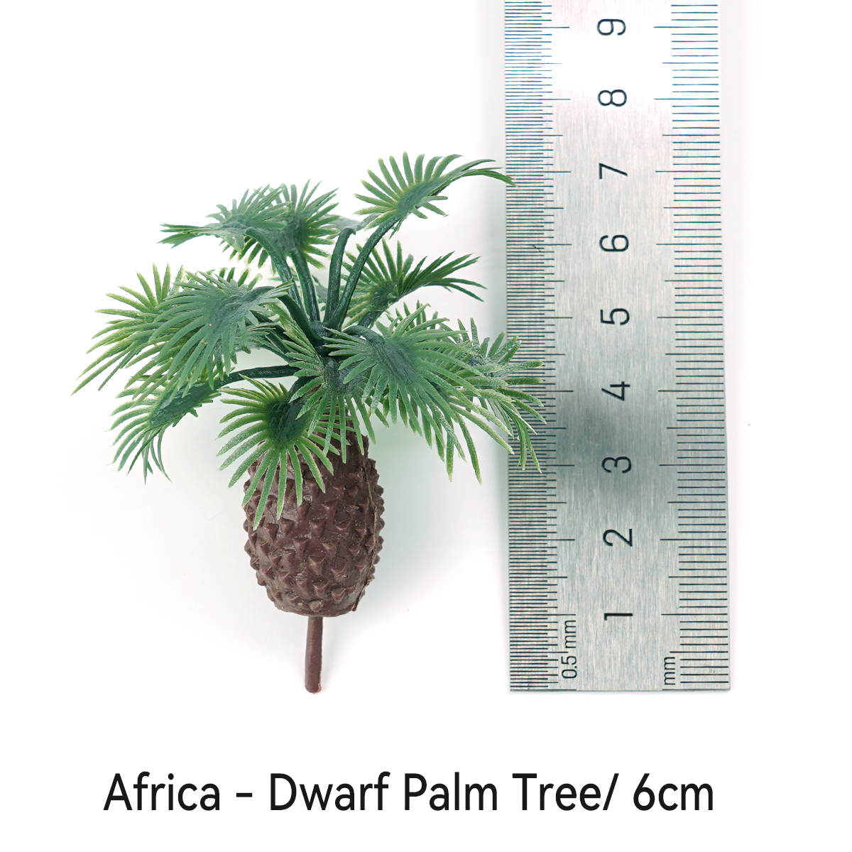 Africa - Dwarf Palm Tree_ 6cm