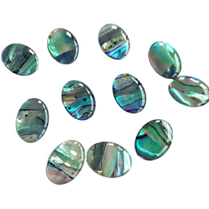 Toptan Oval doğal Abalone Cabochon <span class=keywords><strong>Paua</strong></span> kabuk kemik & mercan boncuk düz geri Abalone kabuk takı