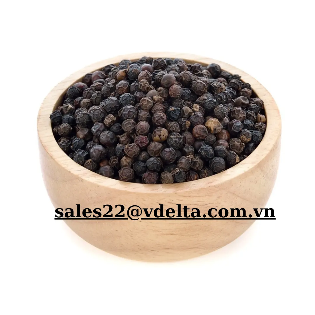 Pimenta preta inteira seca ao sol natural 500 ASTA um produto de especiarias típico feito no Vietnã/Kevin Tran + 84 968311314
