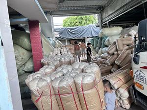 Organik KAPOK yatak ve yastık dolum için % 100% doğal yüksek kalite/toptan VIETNAM gelen KAPOK FIBER iyi fiyat - Product Image 2