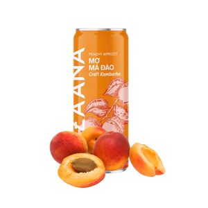 Vietnamca üretim Kombucha şeftali lezzet konsantre karışık meyve suyu tatlı ve ekşi notlar doğal işlenmiş - Product Image 4