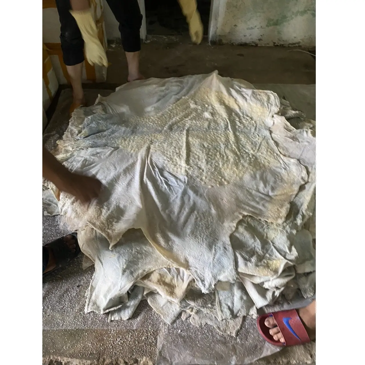 85cm Tamanho Revestido Vietnam ODM OEM Comprimento 1.5m acima Atacado Real Avestruz Couro Preço de Fábrica Real Couro Cru Hide Skin