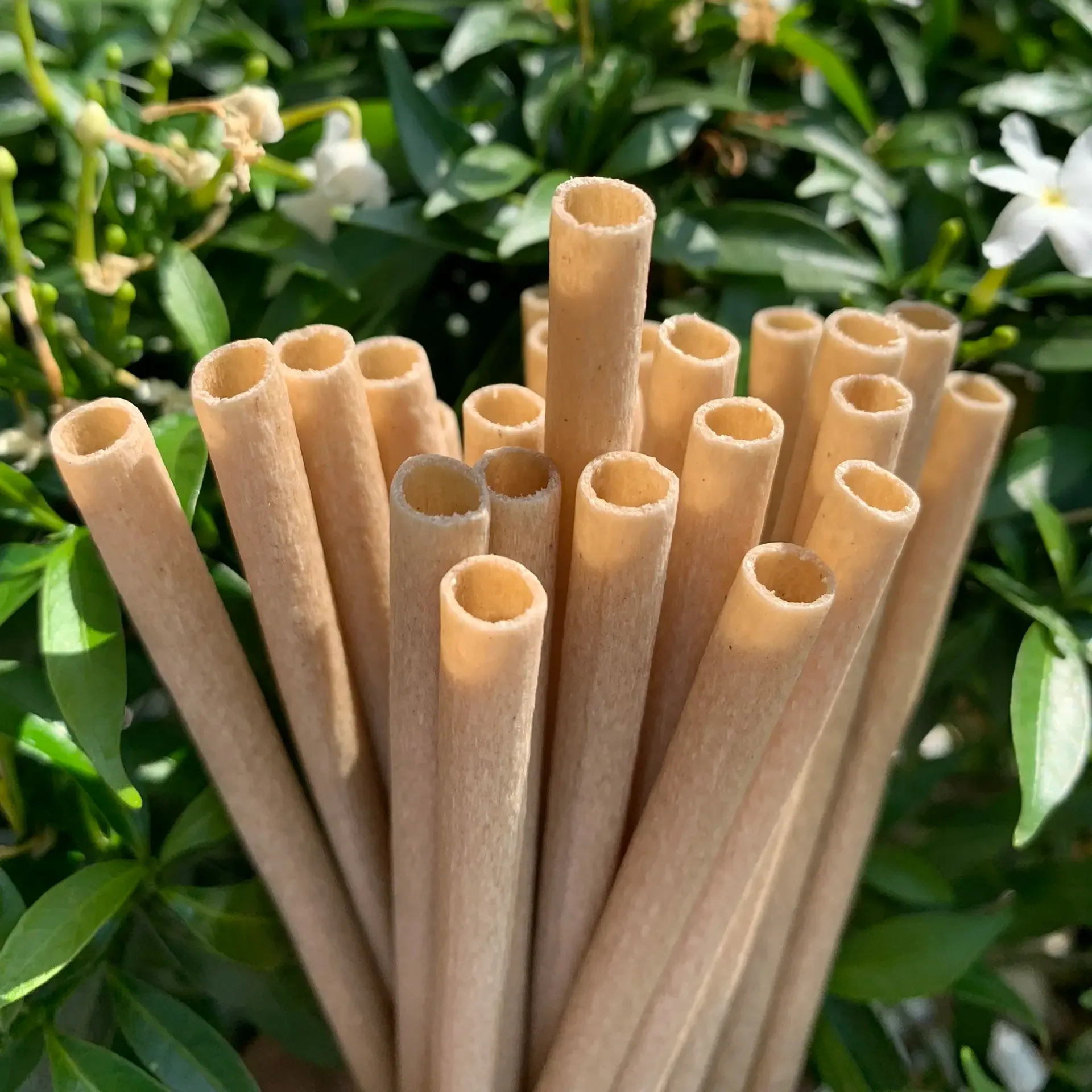 Cannucce a base di tubi di bambù secchi alla rinfusa a prezzi economici