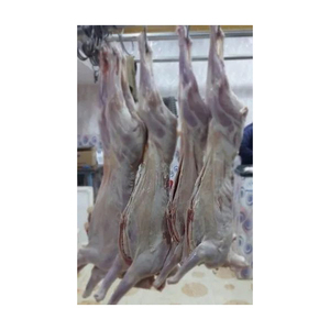 เนื้อแพะสดแช่แข็งฮาลาลสำหรับผู้บริโภคมุสลิมและไม่ใช่มุสลิม - Product Image 5