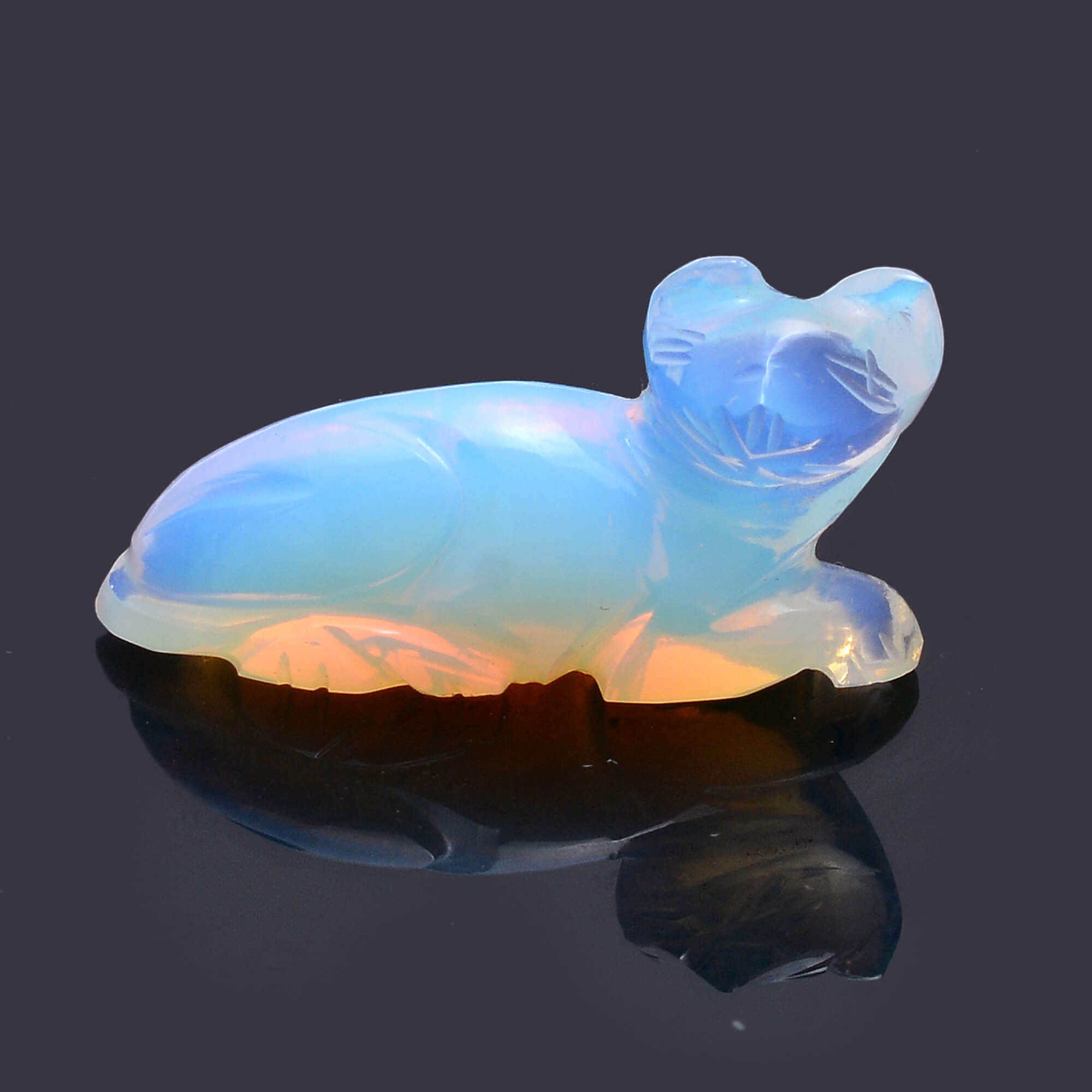 เหมือนกับภาพที่แสดง