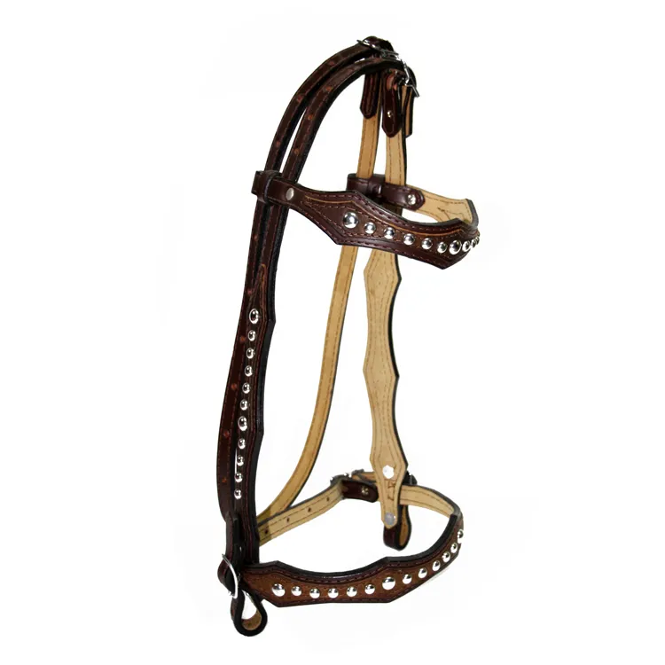 Horse Equestrian kulit inovatif Bridle dengan kombinasi Cross dan Flash Noseband kustomisasi tersedia