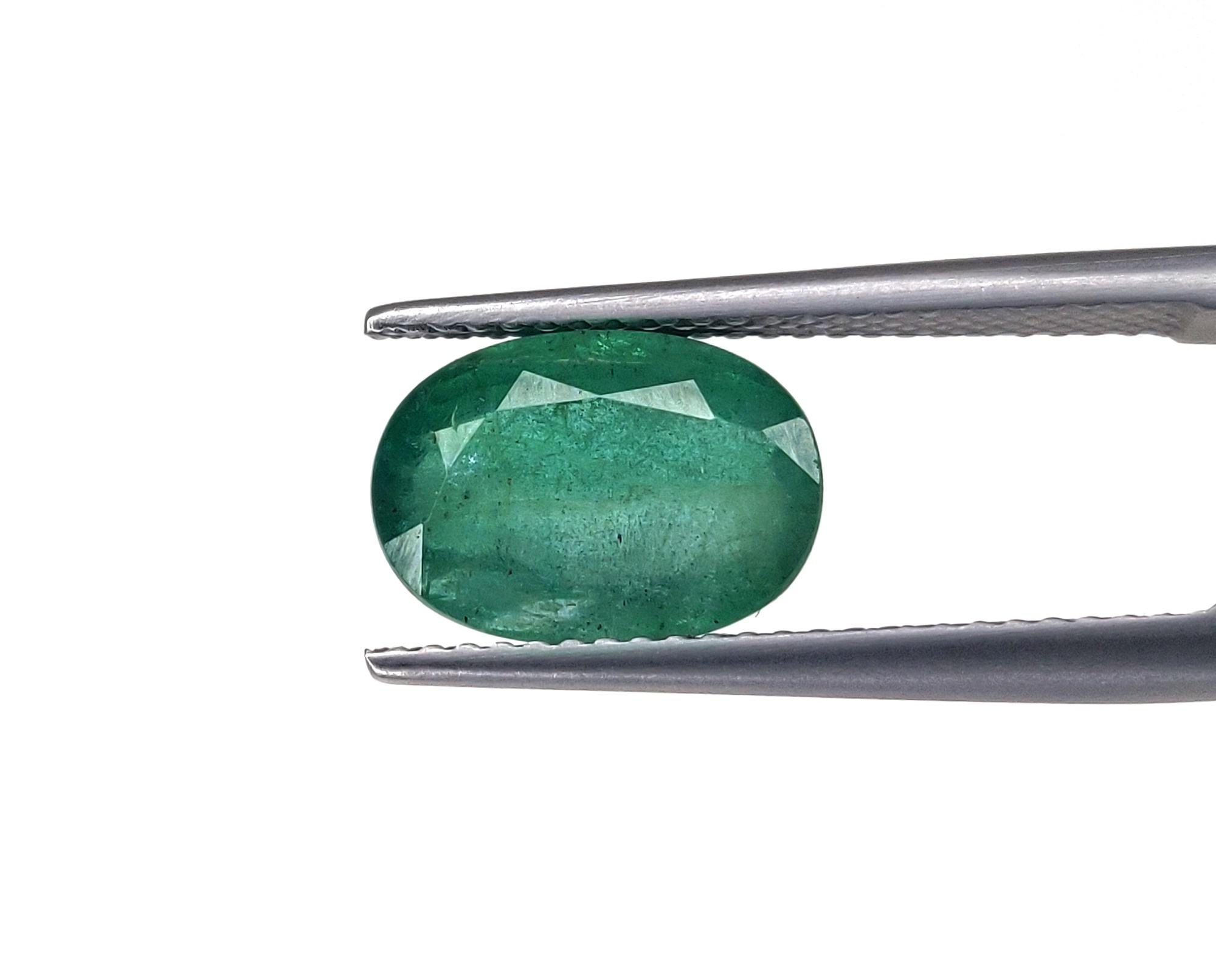 สีเขียวอ่อน