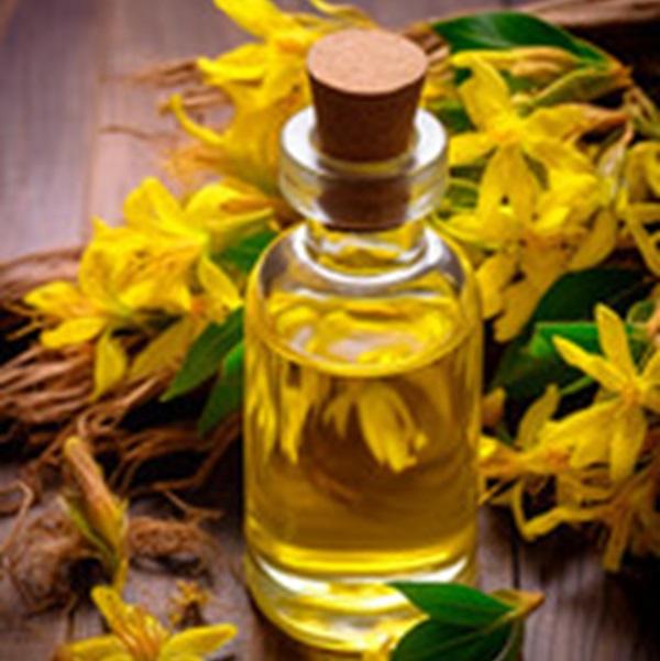 สีส้มเข้ม-เหลือง