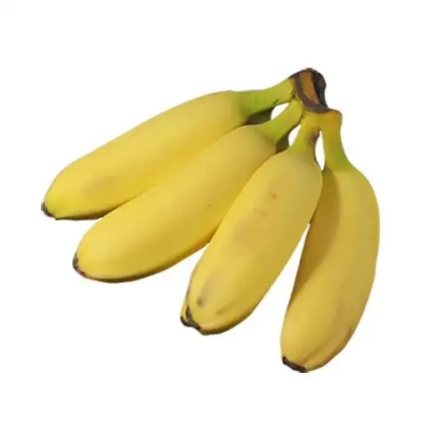 Plátanos Cavendish de la mejor calidad de Vietnam de grado premium 100% plátanos frescos naturales para la venta.