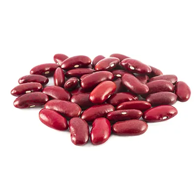 Natural Organic White Kidney Beans Bulk - White Kidney Bean for Sale