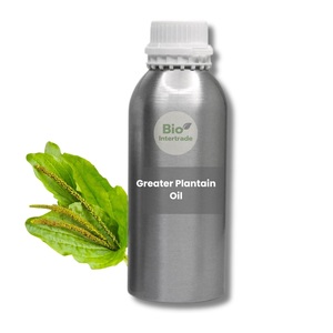 Greater Plantain <strong>Oil</strong> 1000ml (Premium Grade) Hot-Pressed Natural Local Plant From Thailand Factory Supply