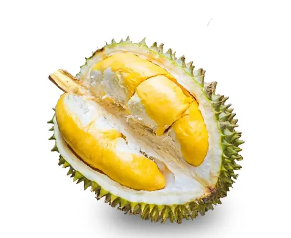 PREMIUM DRIED DURIAN FOR NEW CROP - High Quality And Good Price Ms. Jennie