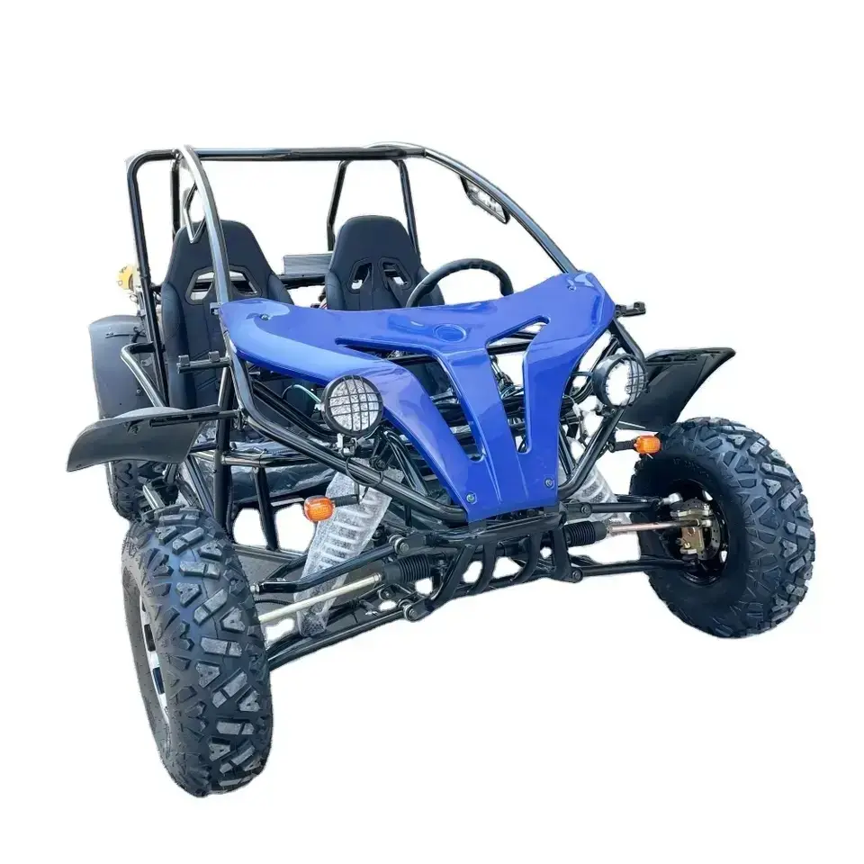 2020 Renli EEC5 500cc 4x4 yarış Buggy Buggy 2 koltuk ucuz Go Karts