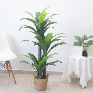 中国工場80cmハウス鉢植え植物クリアランス3.6フィート人工ドラセナ木装飾植物40葉苗床ポット付き - Product Image 4