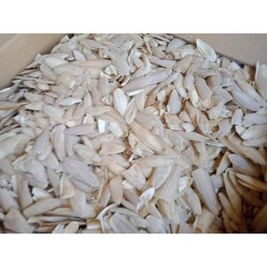 กระดูกปลาหมึกอบแห้งออร์แกนิกพร้อมส่งออกจำนวนมาก - Product Image 3