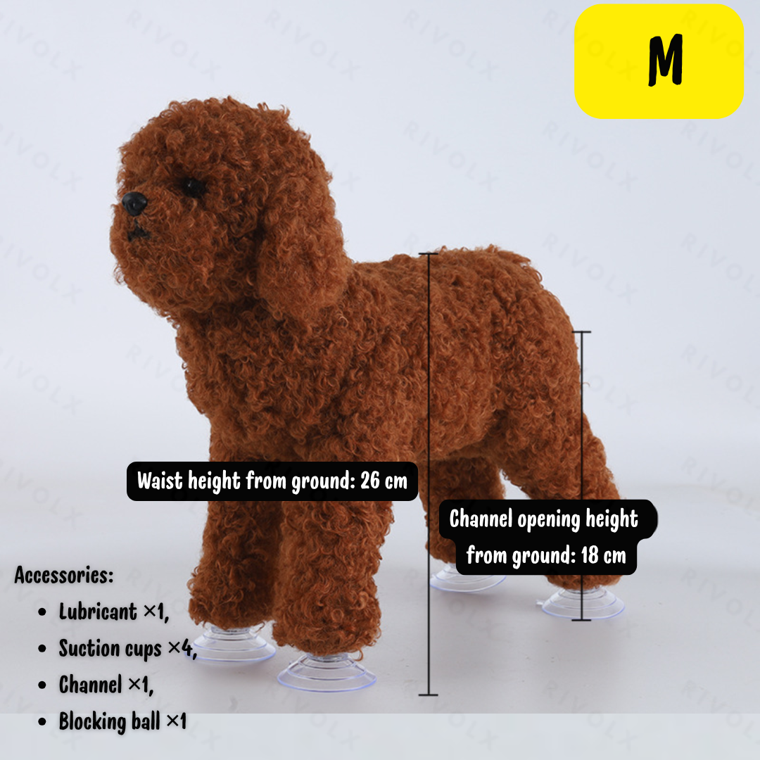Caniche café (caniche de juguete) M