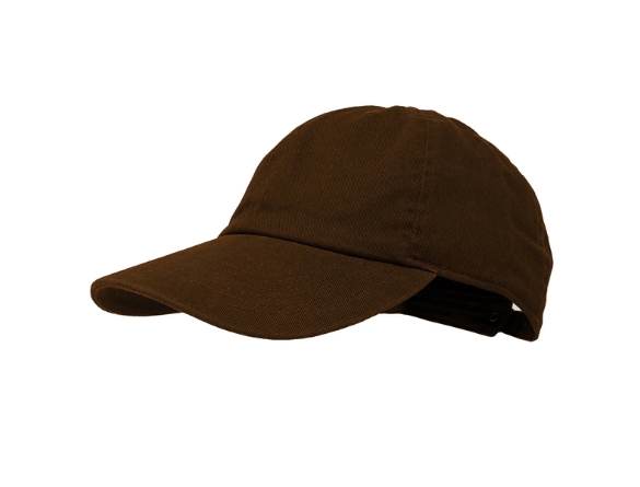 สีน้ำตาล