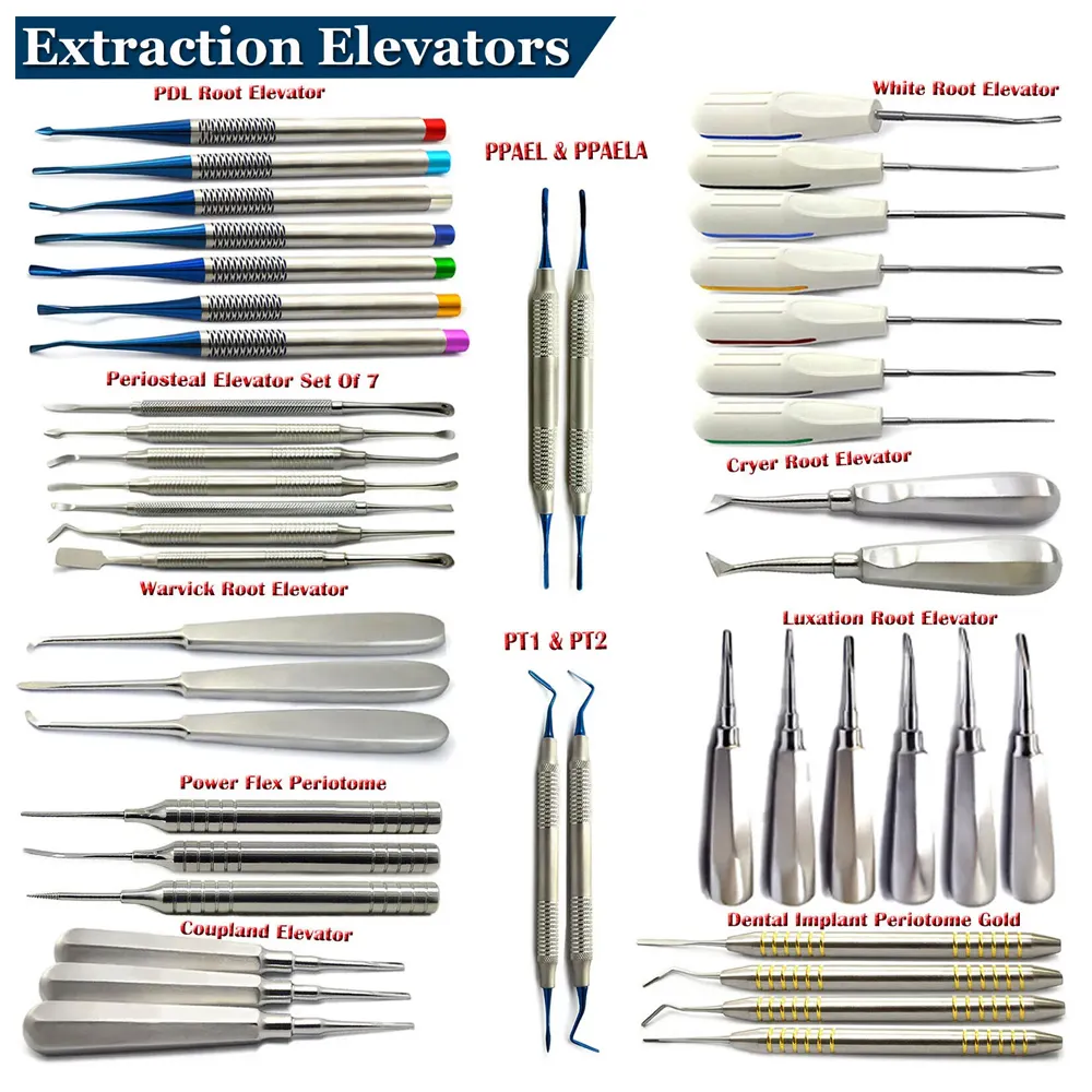 Ascensori per impianti chirurgici lussuosi fornitori di strumenti dentali per l'estrazione di denti dentali con punta di radice