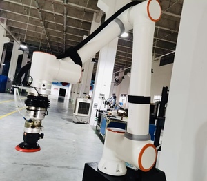 Automation 20kg Grinding Robot 6 Axis Collaborative Robotic Arm Polishing Cobot - Product Image 1