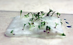 衣類の靴のための300 Gsm植栽可能なペーパークラフトバッグ結婚式の機会12x10x4インチワイルドフラワースタイルAmazonFBA準拠