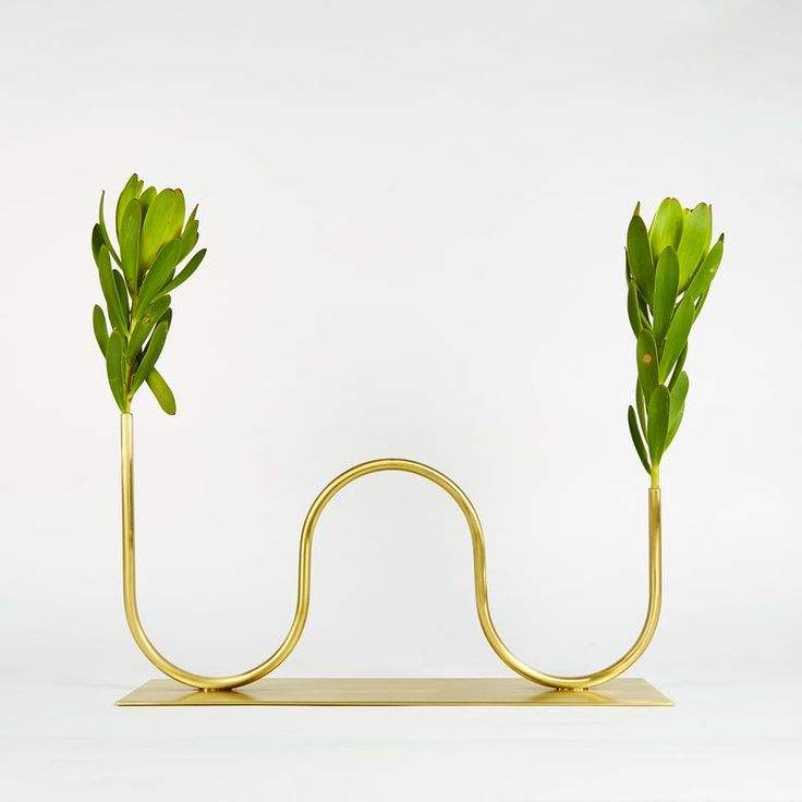 ตามที่แสดง