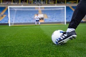 Poa pratensis cao cấp-bluegrass KENTUCKY, cỏ cỏ mịn. Phát triển nhanh, thiết lập nhanh và chịu lạnh (sr2100 dlf) - Product Image 3