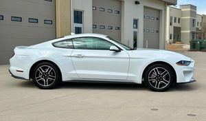 PREMIUM kullanılmış 2021 FO-RD MUS-TANG SHEL-BY GT500. FASTBACK TURBO motor otomatik şanzıman satılık/gemiye hazır. - Product Image 2