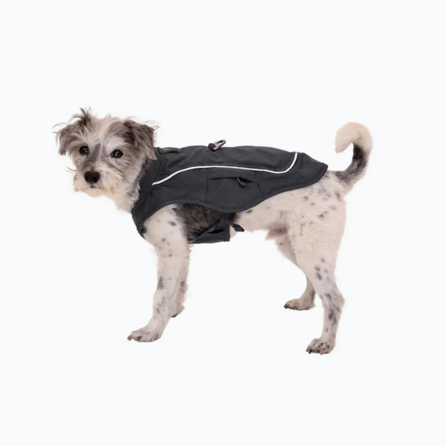 Abrigos de invierno para perros más vendidos Abrigos para perros con forro polar de doble capa Diseño elegante Abrigos para perros de último diseño