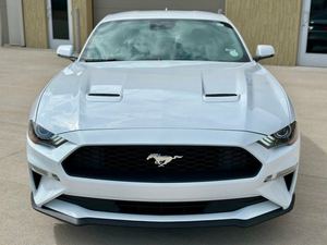 PREMIUM kullanılmış 2021 FO-RD MUS-TANG SHEL-BY GT500. FASTBACK TURBO motor otomatik şanzıman satılık/gemiye hazır. - Product Image 4