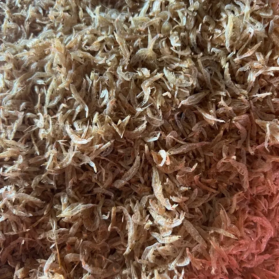 Camarão secado rosa claro com tamanho 2-3cm nenhum alimento desidratado do camarão do camarão do cozimento Toppings produtos orgânicos