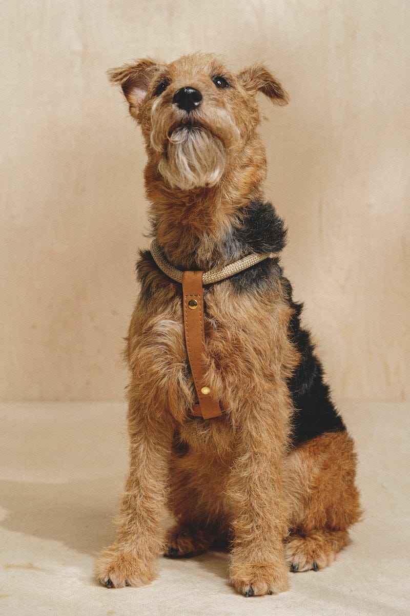 ธรรมชาติ