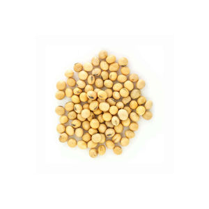 BRC Certified Non-GMO Roasted Salted Edamame Baked Soybeans - Product Image 5