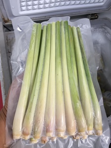 Clean Vietnam Frozen Lemongrass Good Price Export Quality <strong>Bulk</strong> - Product Image 2