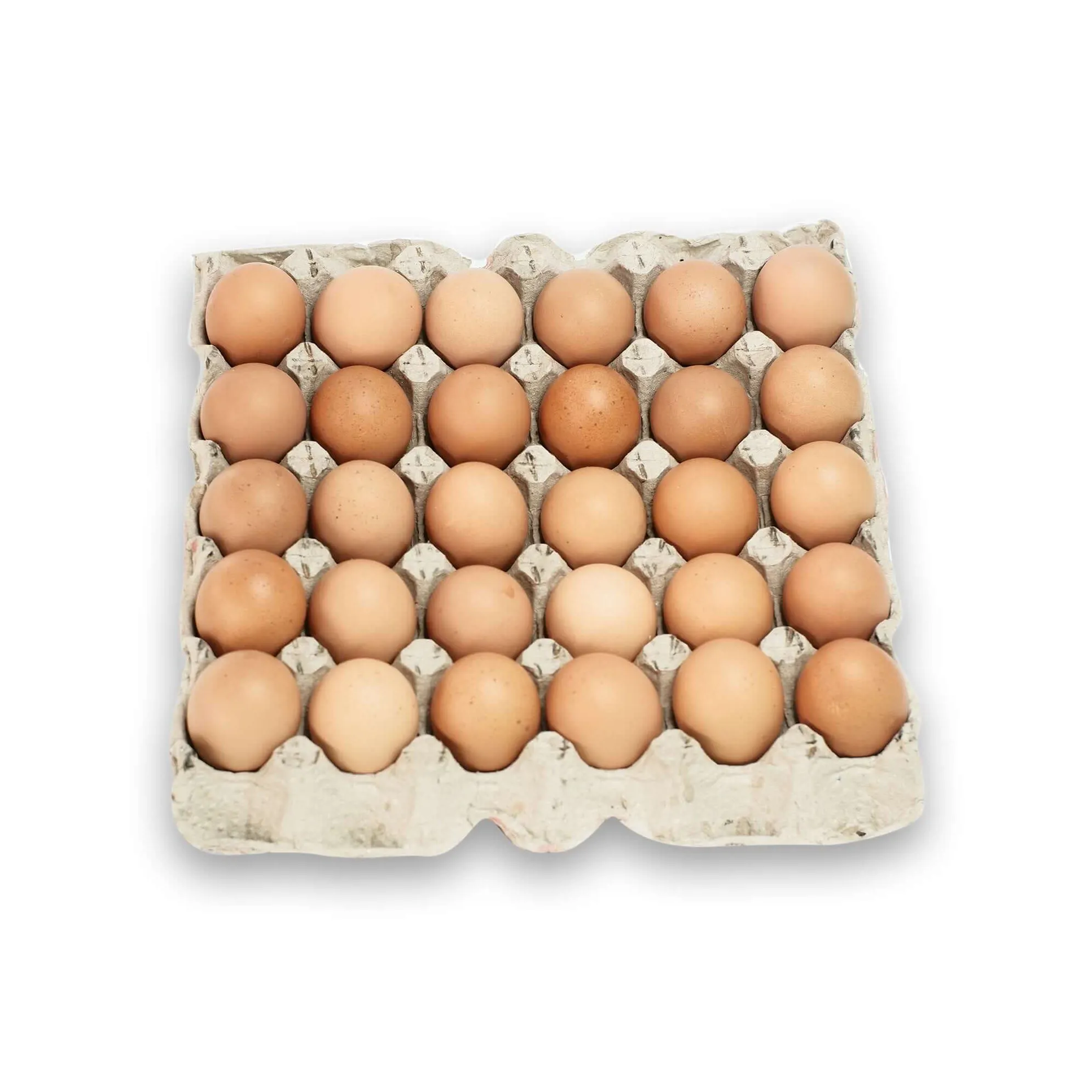 Huevos de mesa de pollo frescos orgánicos de la mejor calidad y huevos fertilizados disponibles a granel