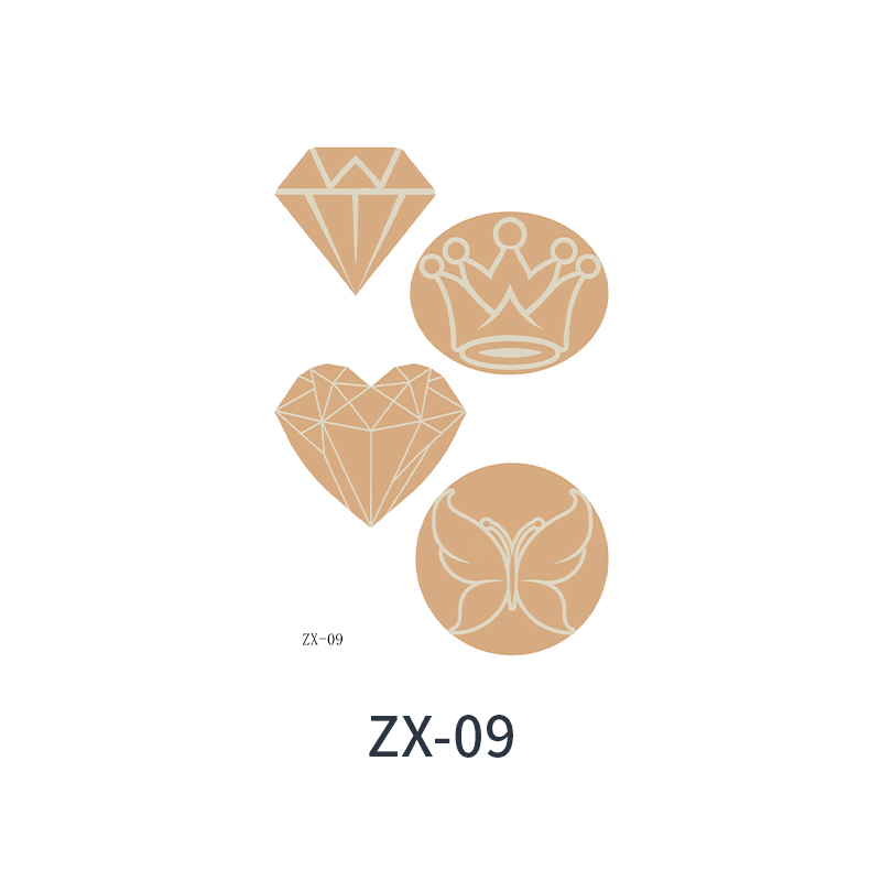 ZX-09