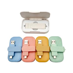 2合1环保麦草定制徽标<span class=keywords><strong>USB</strong></span> 2.0 2gb 4gb 8gb 16gb 32GB闪存驱动器3.0类型c 128GB Pendrive <span class=keywords><strong>USB</strong></span> 64GB棒