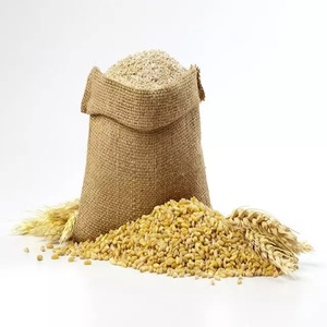 Yüksek kaliteli buğday/buğday tahıl/ukrayna yumuşak ve sert olmayan gdo buğday tahıl tohumları 50kgs/arpa - Product Image 6