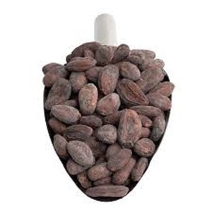 越南优质有机可可豆烤生优质批发巧克力豆价格低廉