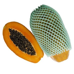 Verpackungs netz EPE-Schaum Kunden spezifisches mehrfarbiges Frucht schaum netz für Papaya