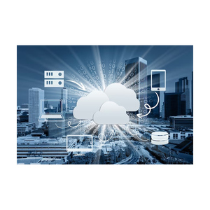 Software di archiviazione dati sicuro basato su Cloud compatibile con Mac versione Internet-esportazione diretta da venditori indiani - Product Image 5
