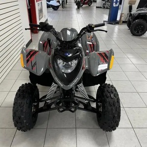 2024 Polariss Phoenix 200 4WD <strong>EPA</strong> Certified 4 Stroke Engine <strong>UTVs</strong> 1000W Power - Product Image 1