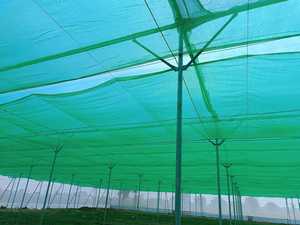 Прочный HDPE портативный затеняная сетка Солнцезащитная сетка для сельского хозяйства - Product Image 2