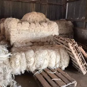 High Quality 90cm <strong>Sisal</strong> Raw Pattern Fiber Flame Retardant for Spinning - Product Image 1