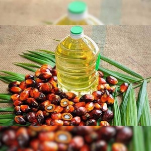 Natural Crude Palm <strong>Oil</strong> in Bulk for Sale Wholesale High Quality <strong>Oil</strong> for Cooking and Industrial Applications