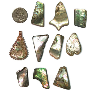 Unpolished Mini <strong>Paua</strong> Shells in Customized Shape - Product Image 5