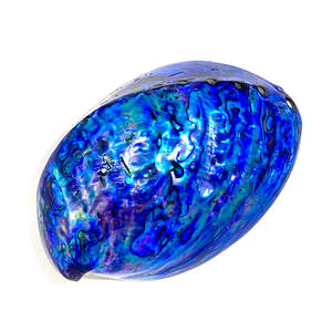 Unpolished <strong>Paua</strong> Shells in Customized Shape - Product Image 6