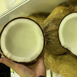 Aus getrocknete Kokosnuss mittlerer Qualität/Größe: 5-6mm/Zutat: 100% reine Kokosnuss natürlich/Natur weiß, frei von gelben Flecken