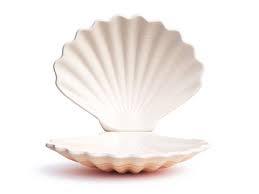 PREMIUM BEACH SEASHELLS / HOME DECORATION / DIY PROJECTS / NATURAL FINISH - Product Image 3