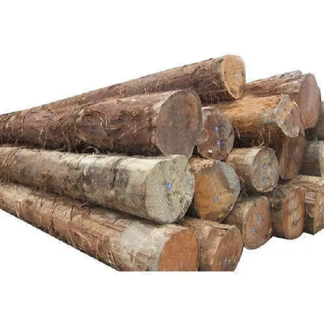 Large Quantity Of Raw Timber Wood & Logs Wood Available For Sale