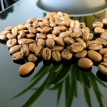 حبوب قهوة عربية محمصة - قهوة فيتنامية مميزة عالية الجودة
